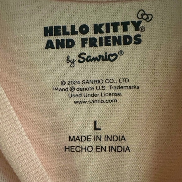 NWT Sanrio  Hello Kitty and Friends T Shirt-Large - Picture 4 of 5